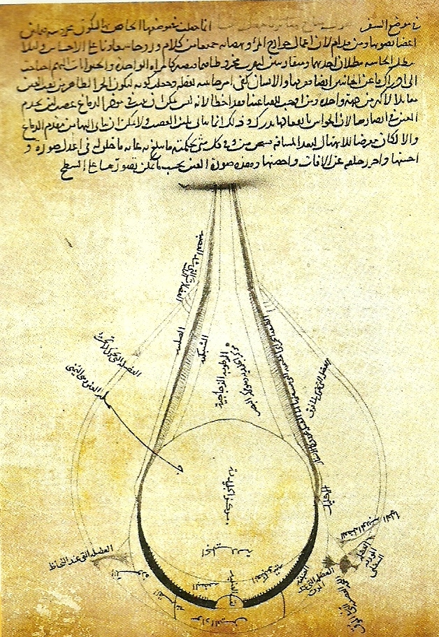 تشريح العين الذي أجراه كمال الدين الفارسي في القرن الثالث اعتمادًا على أفكار ابن الهيثم ويظهر وظيفة الدماغ