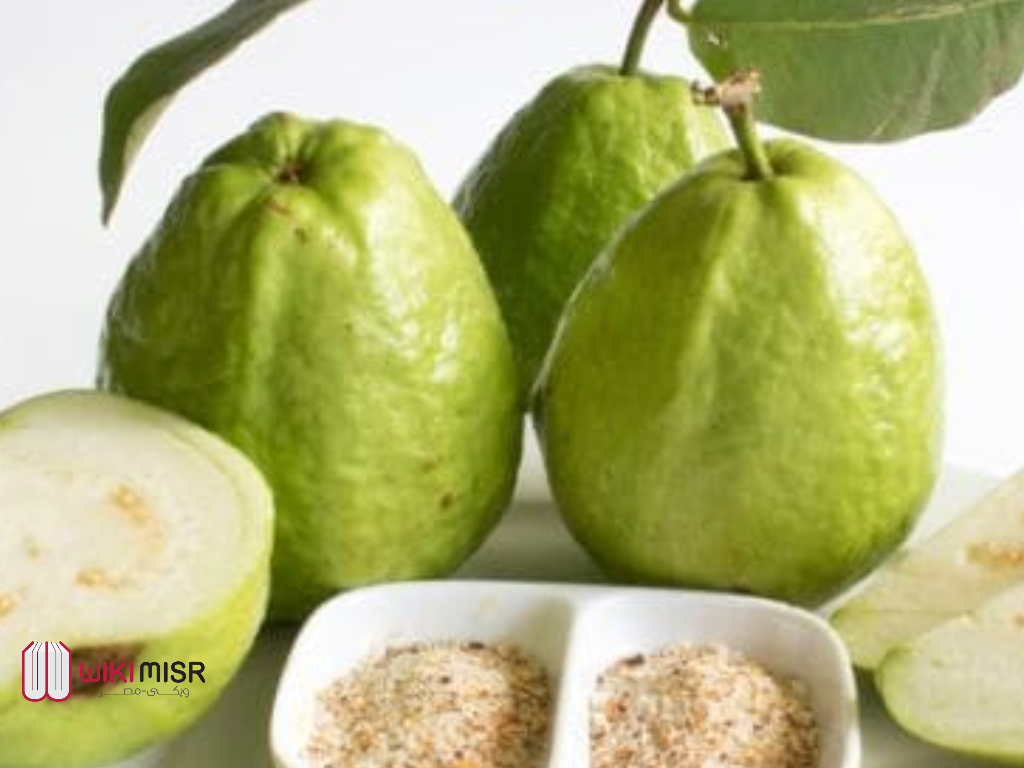 15 فائدة من فوائد ورق الجوافة لجسم الإنسان