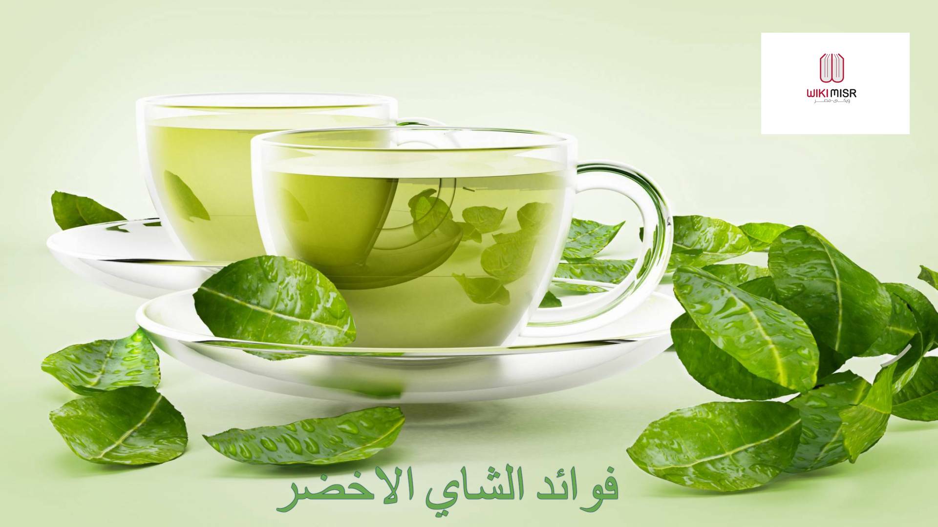 فوائد الشاي الأخضر وأضراره على الجهاز الهضمي