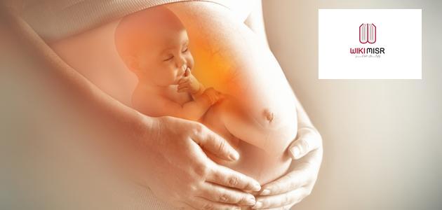 ما الذي يشعر به الجنين قبل الولادة