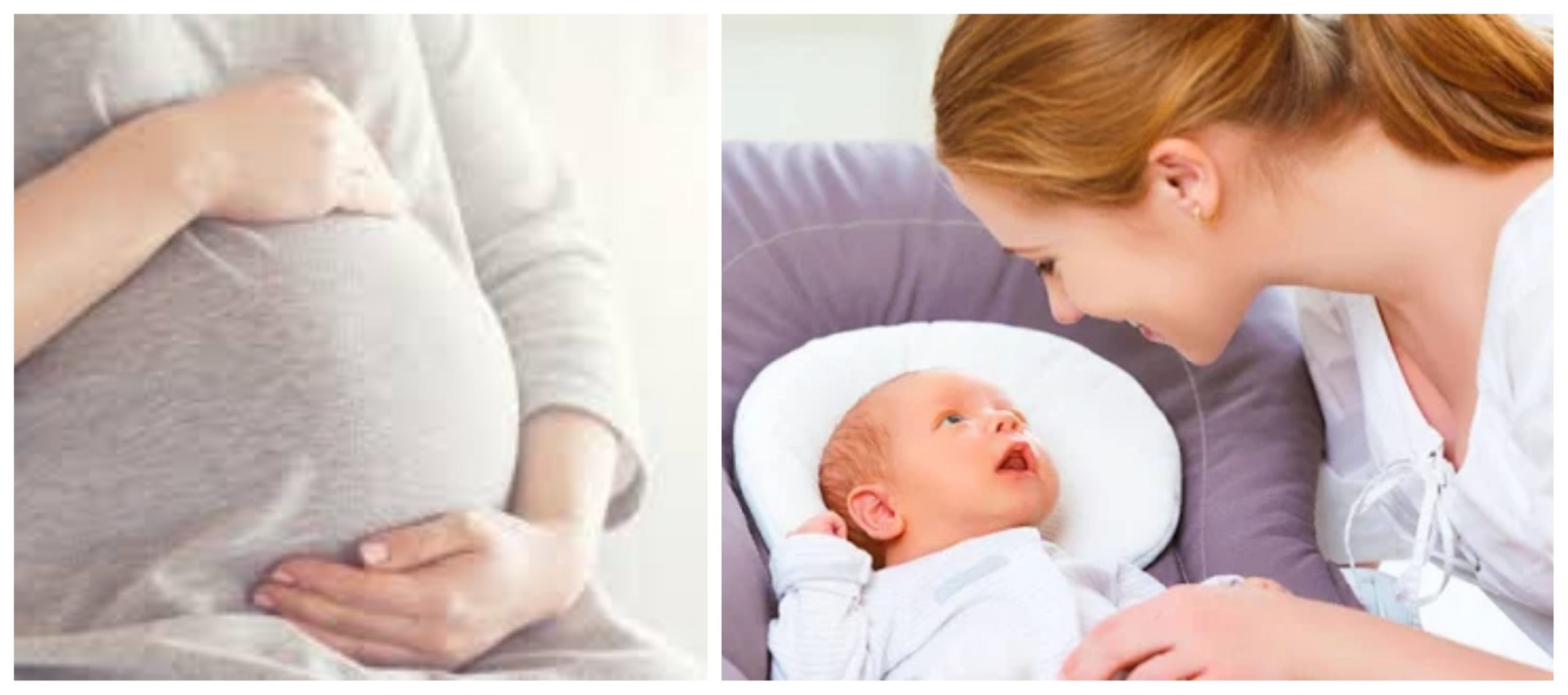 مراحل الحمل والولادة