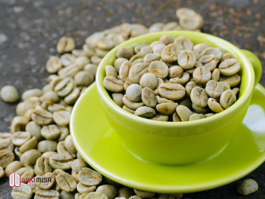 green coffee القهوة الخضراء هل تساعد في التخسيس؟