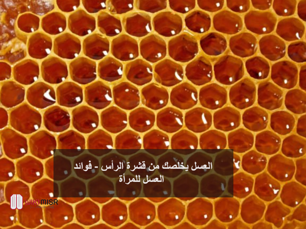 العسل يخلصك من قشرة الرأس - فوائد العسل للمرأة 