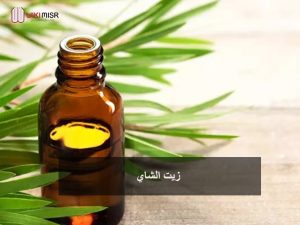 زيت شجرة الشاي يستخدم كـ علاج رائحة الشعر الدهني الكريهة