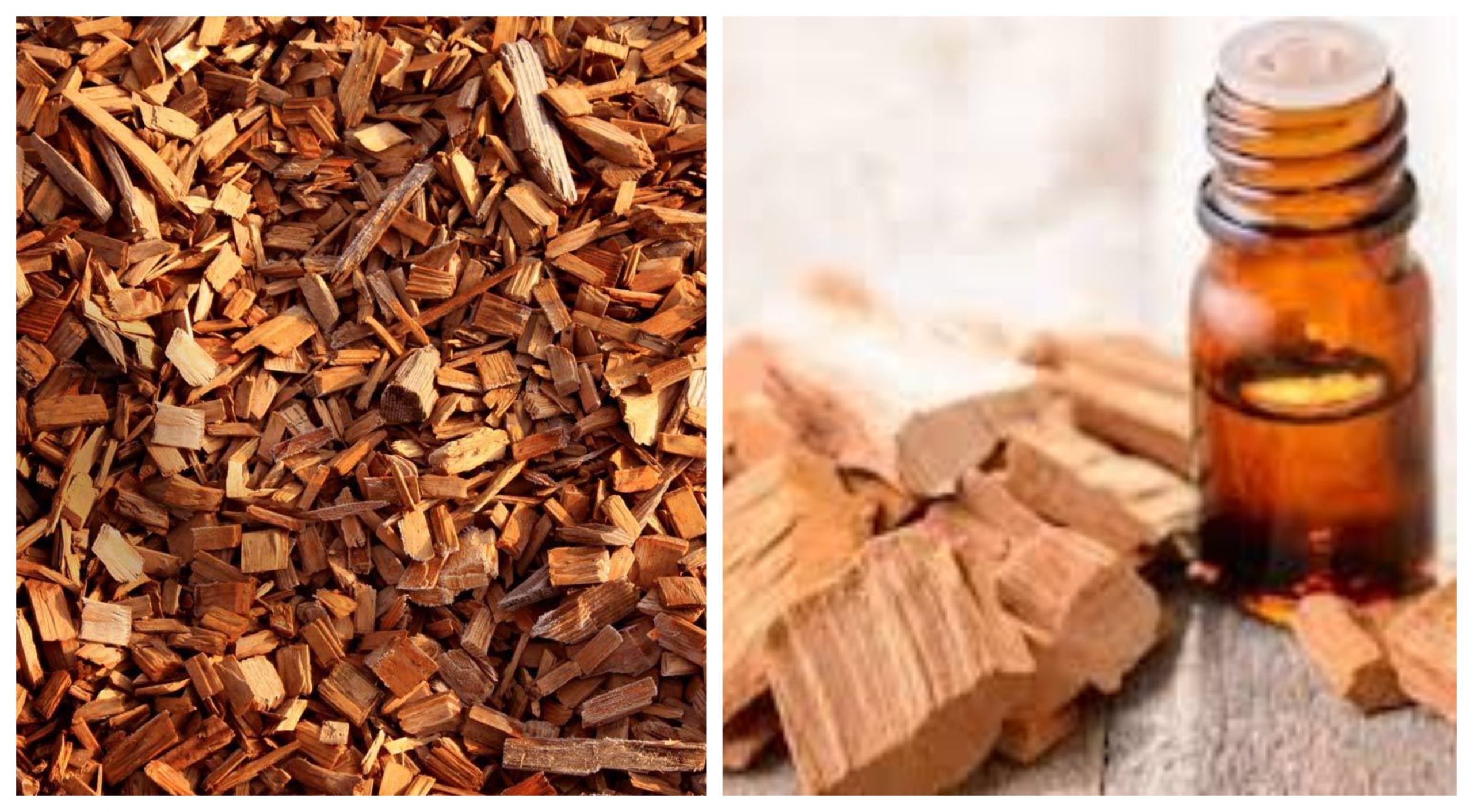 فوائد صحية مذهلة ‏لاستخدام زيت خشب الصندل