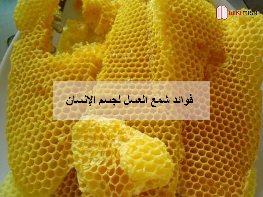 فوائد شمع العسل لجسم الإنسان 