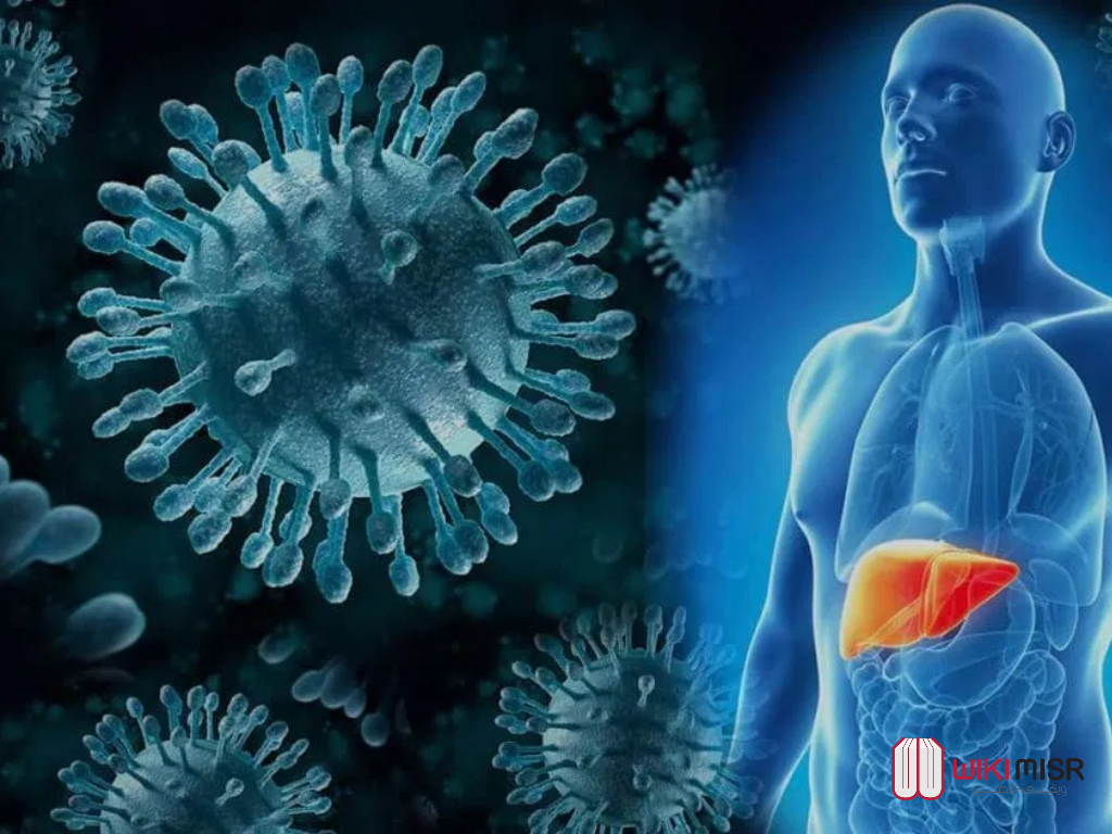 أعراض فيروس سي الكبدي  طرق انتقال العدوى والوقاية