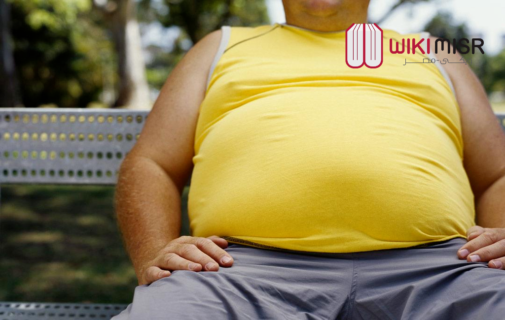 تذكر قاعدة البيانات ال  طريقة شفط الدهون في المنزل شرط الالتزم والاستمرار | ويكي مصر