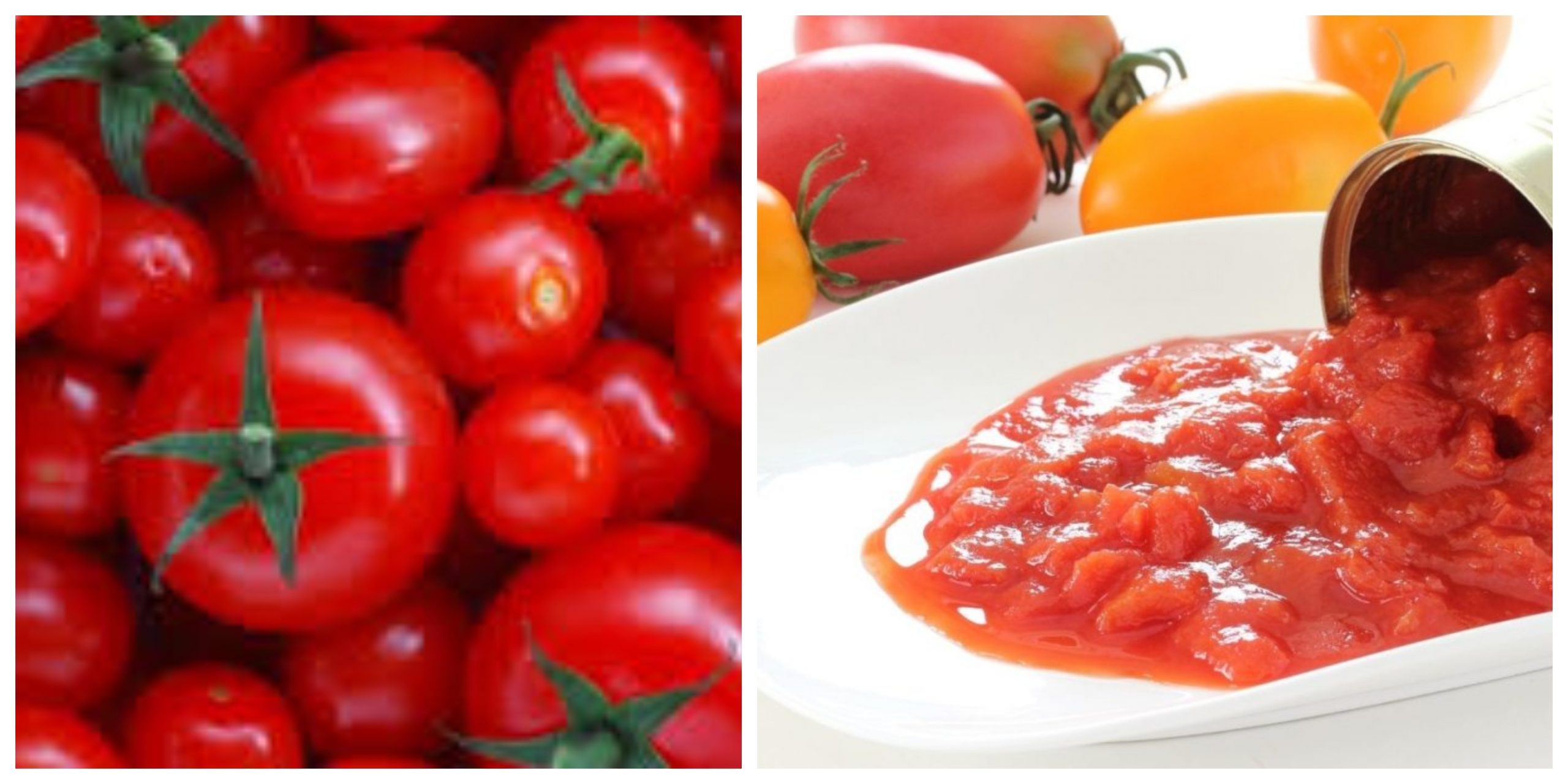 البديل المثالي الطماطم المعلبة