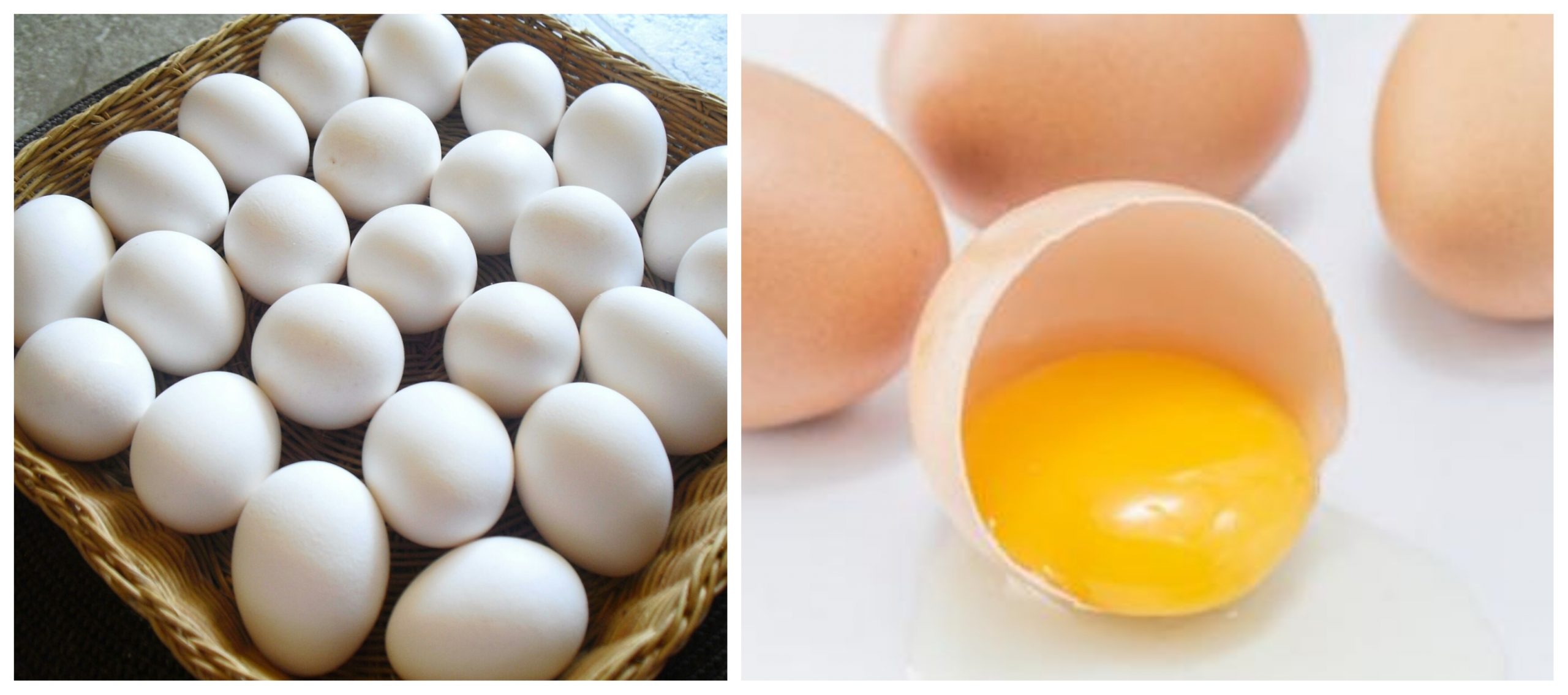 البيض يمدك بالعناصر الغذائية