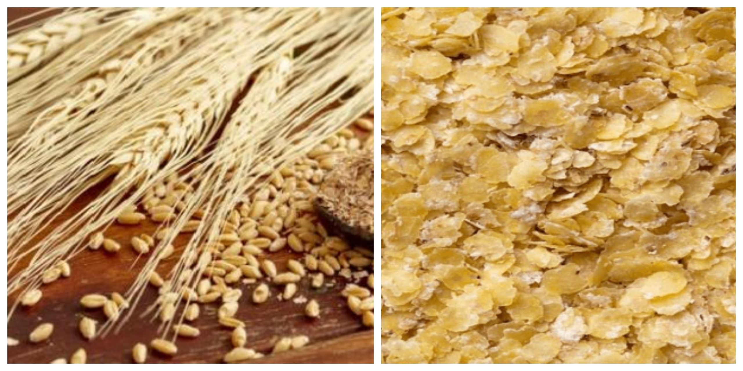 ريجيم القمح يمكنه التخلص من الكرش بسرعة فائقة.. فوائده ‏وآثاره الجانبية