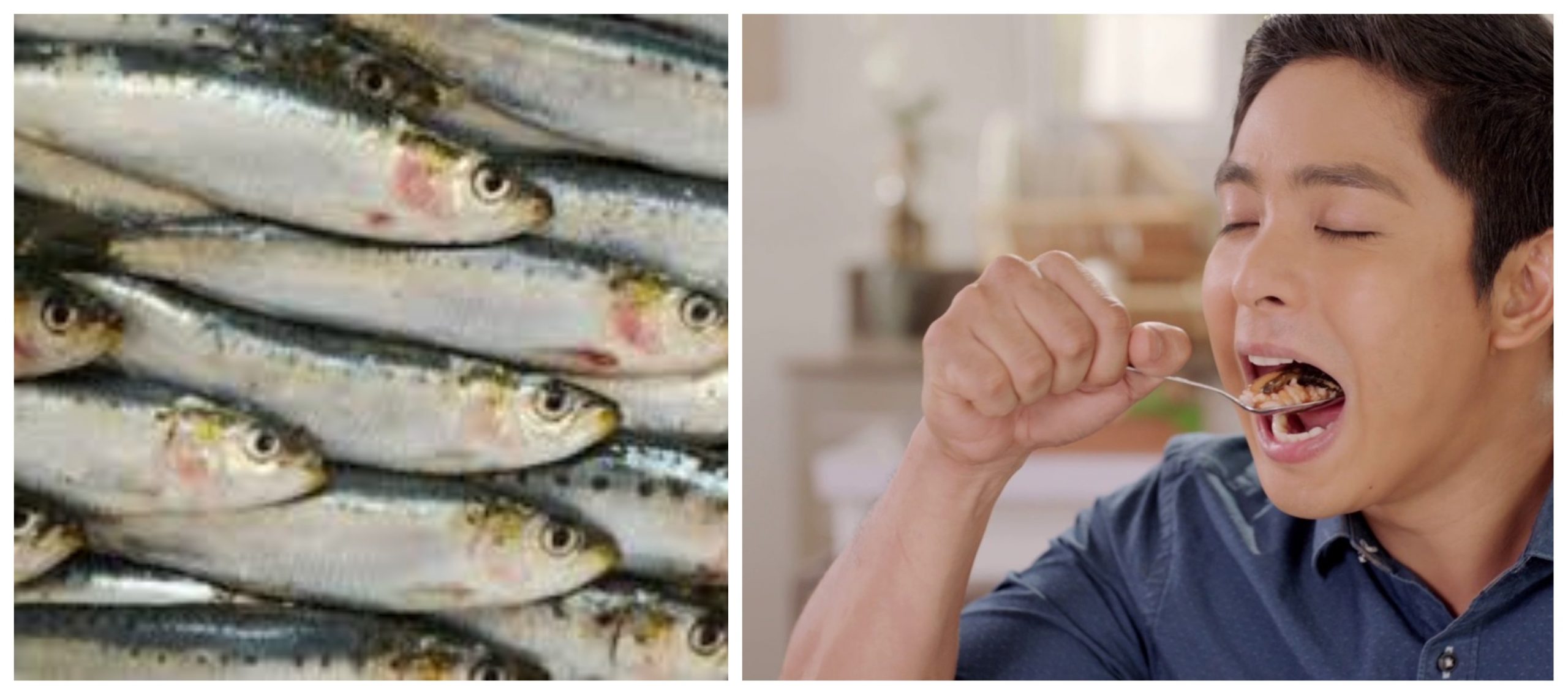 5 فوائد صحية ممتاز لتناول أسماك السردين