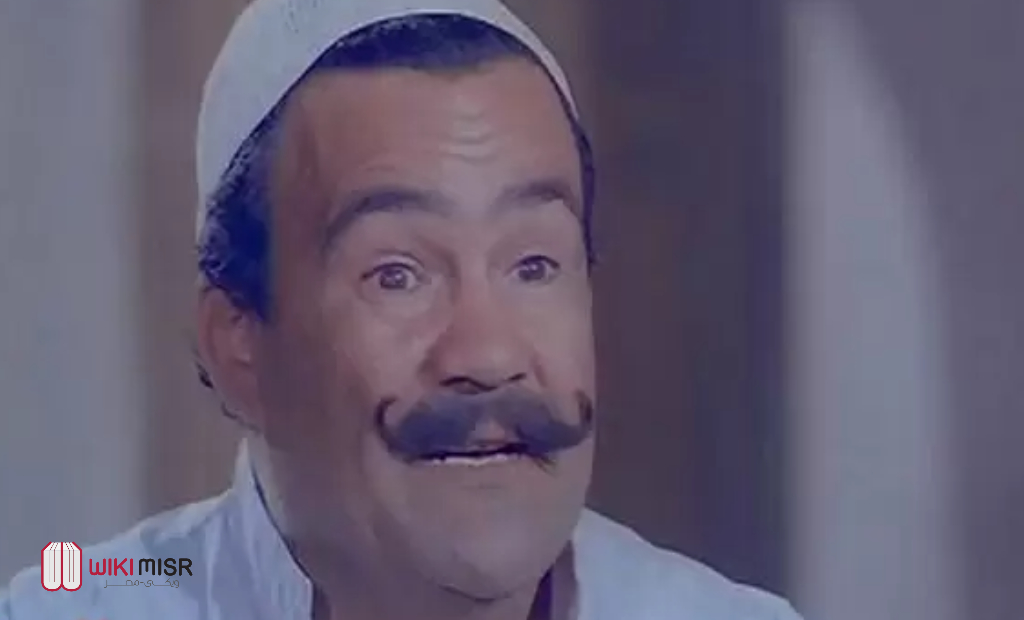 حسن حسين العروض التلفزيونية
