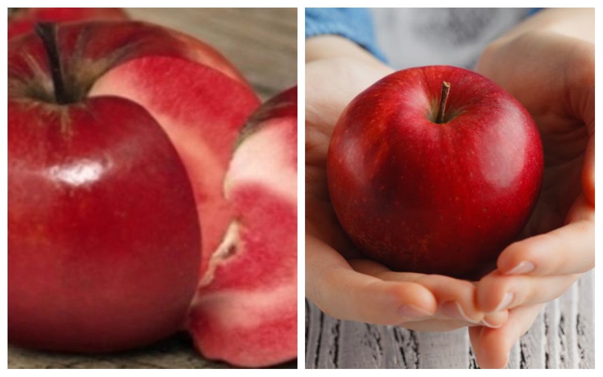 فوائد التفاح الأحمر قبل النوم للرجيم والأسنان