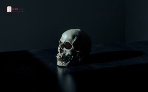تهتم الأنثروبولوجيا بدراسة علم الأحياء وتاريخ تطور الإنسان