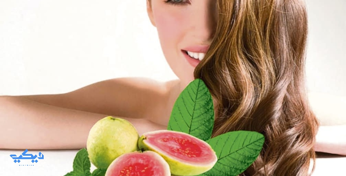 فوائد أوراق الجوافة للشعر