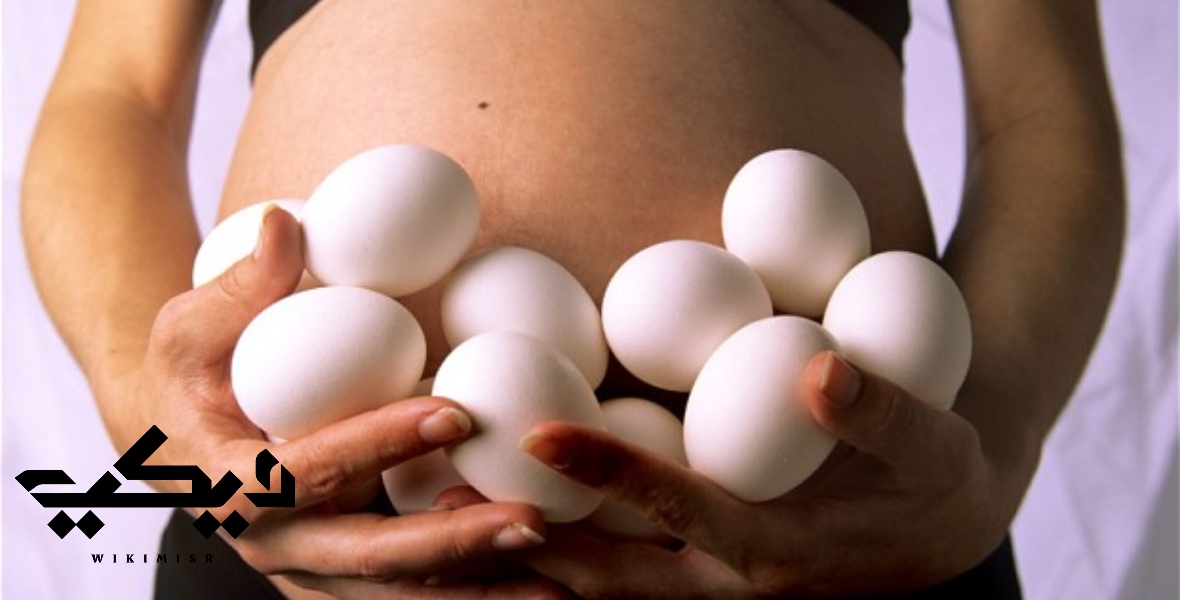 فوائد صفار البيض للحامل