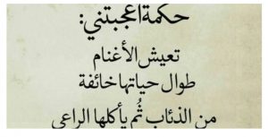 حالات واتس اب