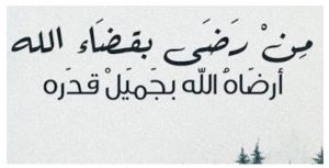 حالات واتس اب فيديو