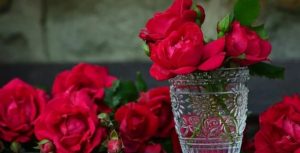 صور ورد أحمر