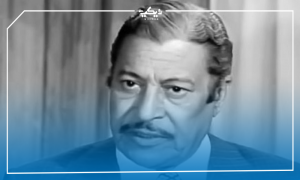 عماد حمدي