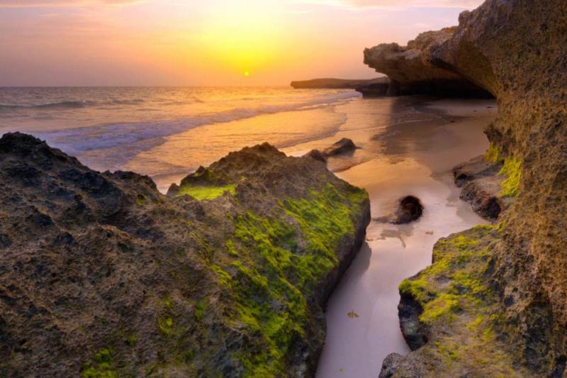 صور شواطئ من المملكة العربية السعودية