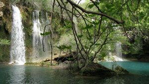 صور من تركيا