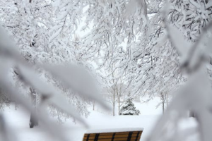 صور الثلج