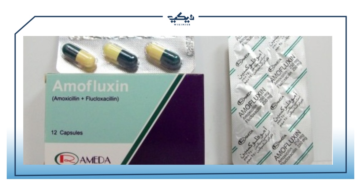 دواء اموفلوكسين Amofluxin لعلاج العدوى البكتيرية
