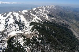 صور من لبنان