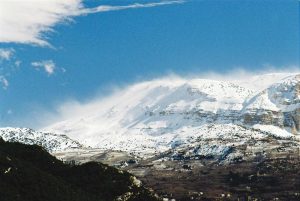 صور من لبنان