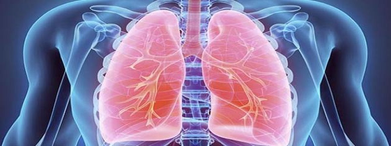 علاج أمراض الجهاز التنفسي