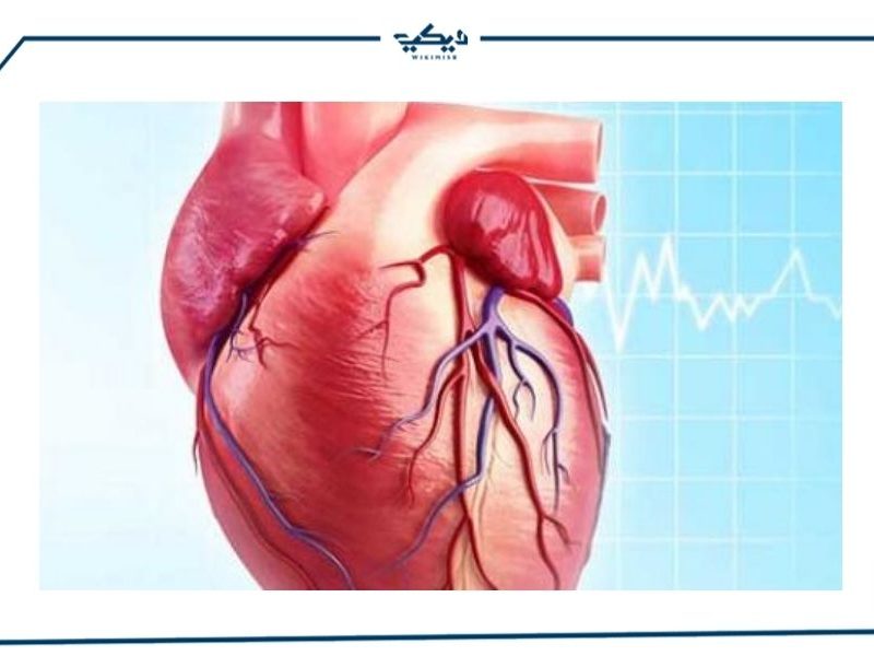 طرق علاج ضعف عضلة القلب ويكي مصر