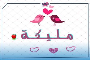 معني اسم مليكة