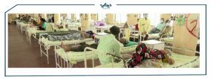 ما هو الفطر الاسود الذي انتشر مؤخرًا في الهند؟