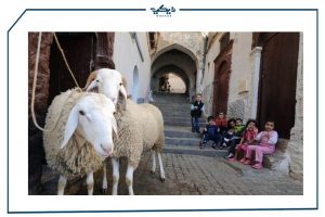 ليلة عيد الأضحى والخروق ينتظر النحر