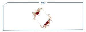 صور سكرابز اطارات