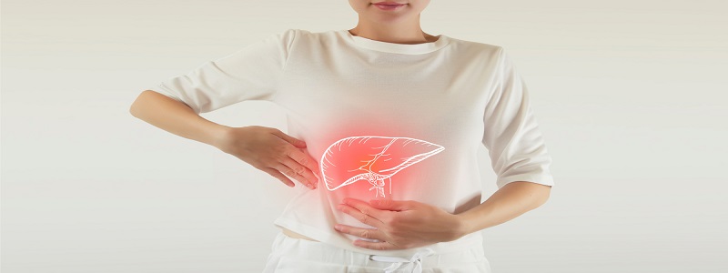 أعراض خمول الكبد وأهم الأمراض التي تُصيبه