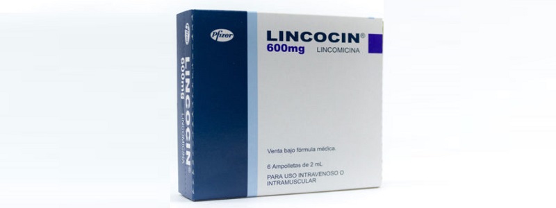 سعر ومواصفات حقن Lincocin  ودواعي استعمالها