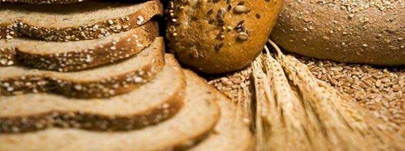 فوائد خبز الشوفان لإنقاص الوزن وصحة القلب