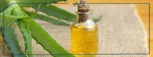 زيت الصبار للشعر