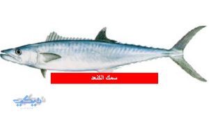سمك الكنعد