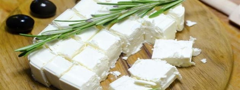 طريقة حفظ الجبنة البيضاء في الفريزر
