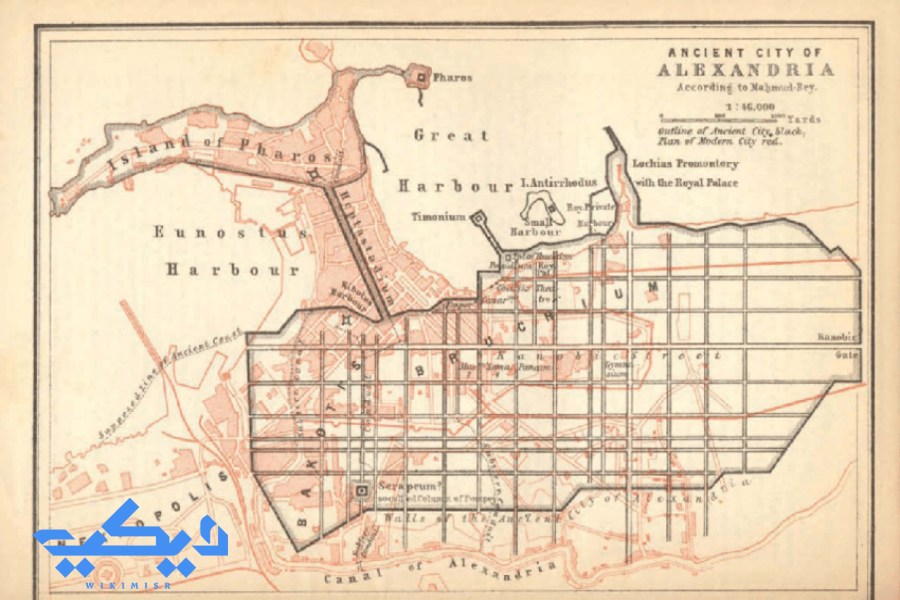 تخطيط مدينة الإسكندرية