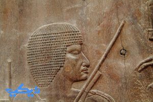 حسي رع في سن متقدمة