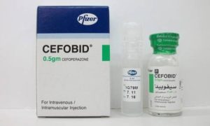 سيفوبيد cefobid مضاد حيوي واسع المجال دواعي الاستعمال الاعراض الجانبية السعر