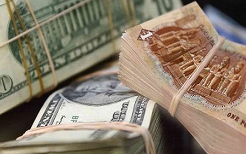 الجنيه المصري ينخفض 13.5 بالمئة إلى مستوى قياسي منخفض أمام الدولار حتى الآن