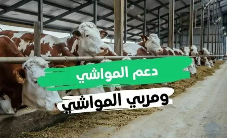 استعلام عن دعم المواشي في السعودية