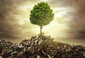 اليوم الدولي لمنع استخدام البيئة في الحروب والصراعات العسكرية