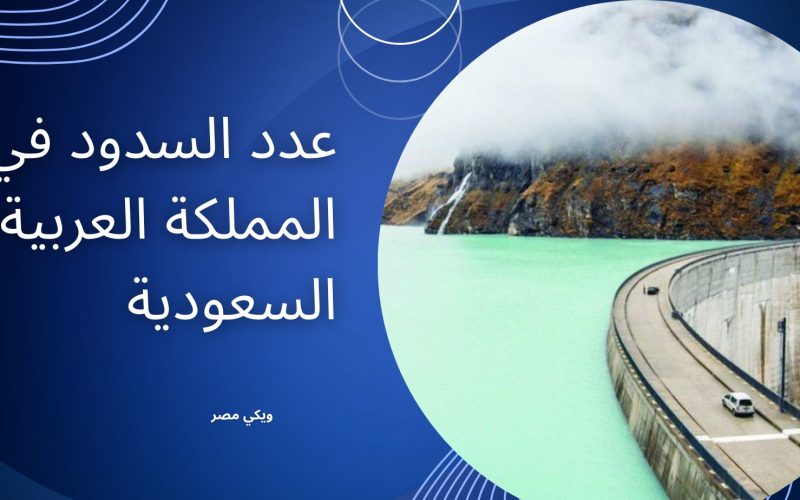 عدد السدود في المملكة العربية السعودية